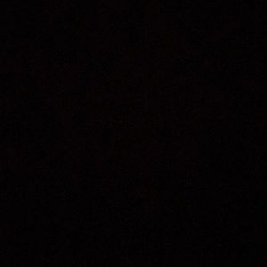 Meet your Posher, Cesar